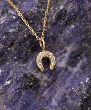 Şans Sembolü Taşlı Nal 14 Ayar Altın Kolye