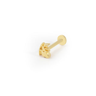 Aşk Tutkusu 14 Ayar Altın Piercing