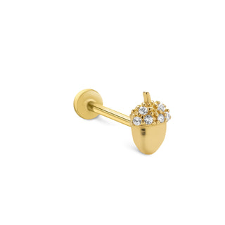 Palamut Işıltısı 14 Ayar Altın Piercing