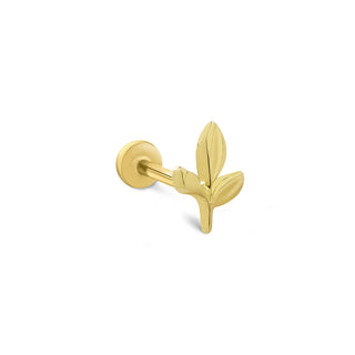 Sade Şık Yaprak 14 Ayar Altın Piercing